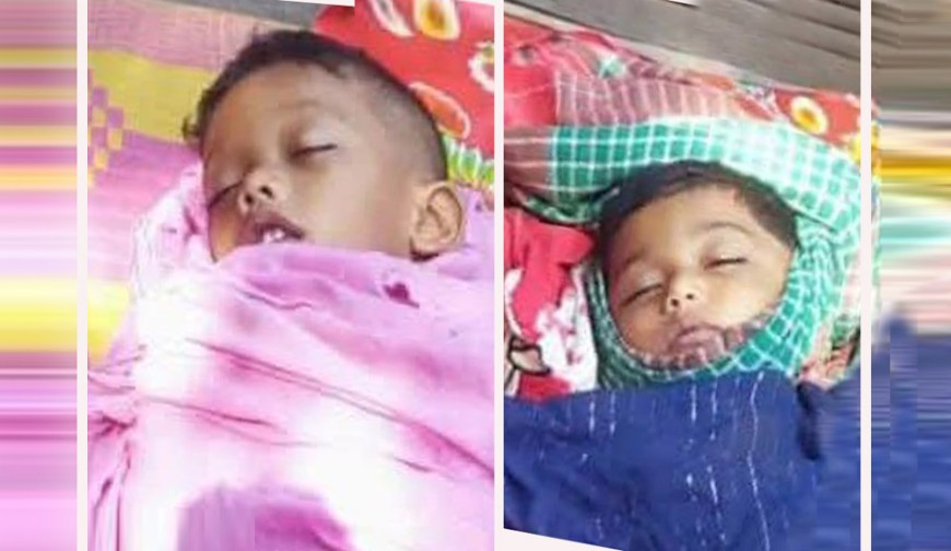 পুকুরের পানিতে ডুবে  ভাই-বোনের মৃত্যু