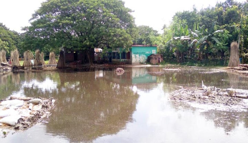 স্কুলের খেলার মাঠ ডোবা,  আতঙ্কে শিক্ষক-শিক্ষার্থীরা