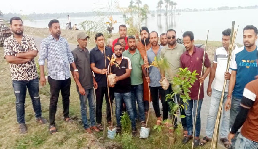 কেশবপুরে গড়ভাঙ্গা-বাটবিলা  সড়কে বৃক্ষরোপণ