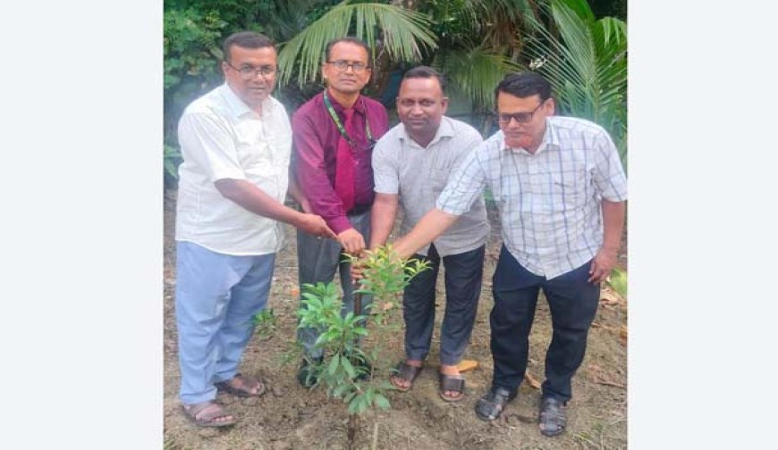 মহম্মদপুরে পূবালী ব্যাংকের  উদ্যোগে  গাছের চারা রোপণ