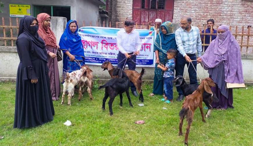 অসহায় নারীদের  মাঝে ছাগল বিতরণ