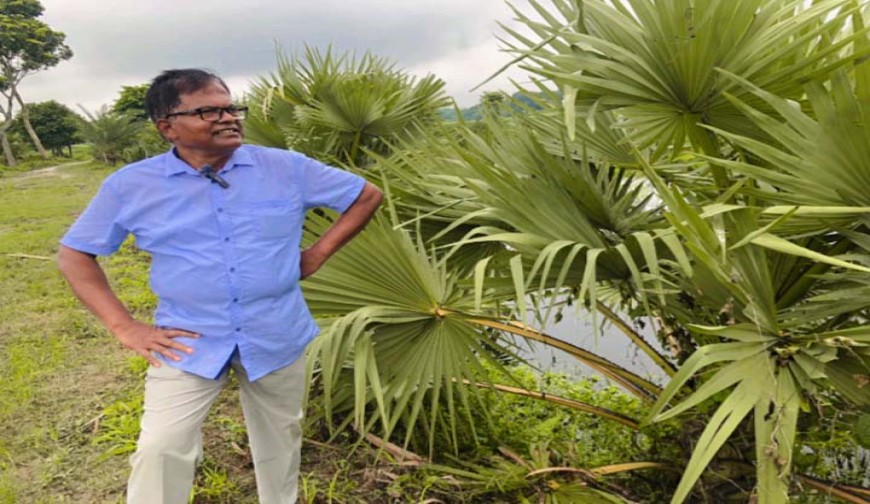 নিঃস্বার্থভাবে সড়কের দুই ধারে সবুজের  বিপ্লব ঘটাচ্ছেন কলেজ শিক্ষক সফিয়ার