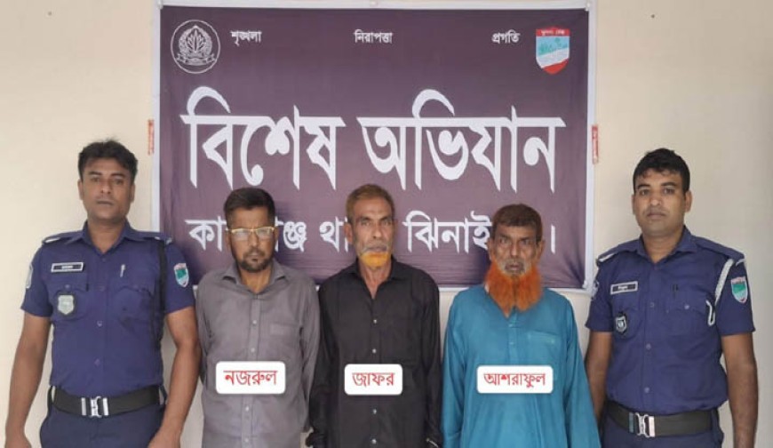 কালীগঞ্জে ওয়ার্ড আ.লীগের সভাপতি  ও ইউপি সদস্যসহ আটক ৬