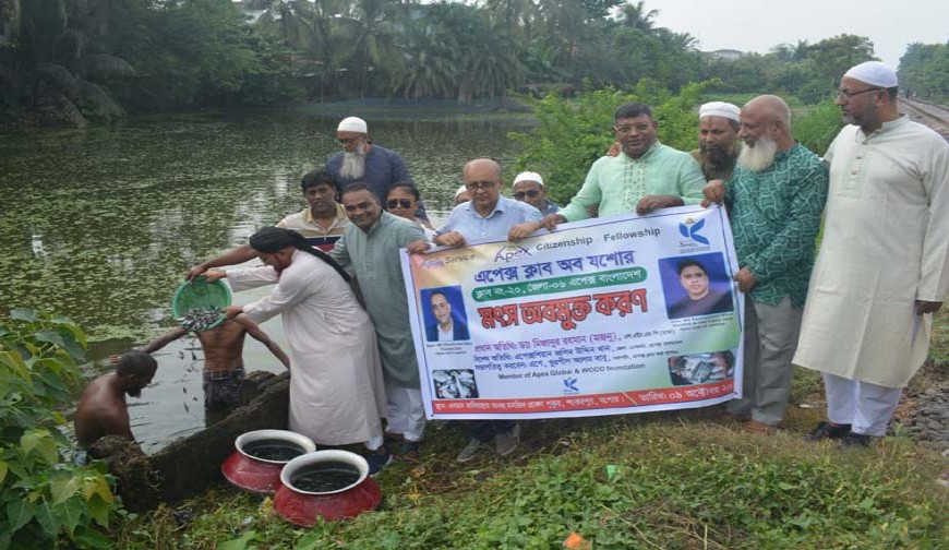 এপেক্স ক্লাব অব যশোরের উদ্যোগে মৎস্য পোনা অবমুক্তকরণ