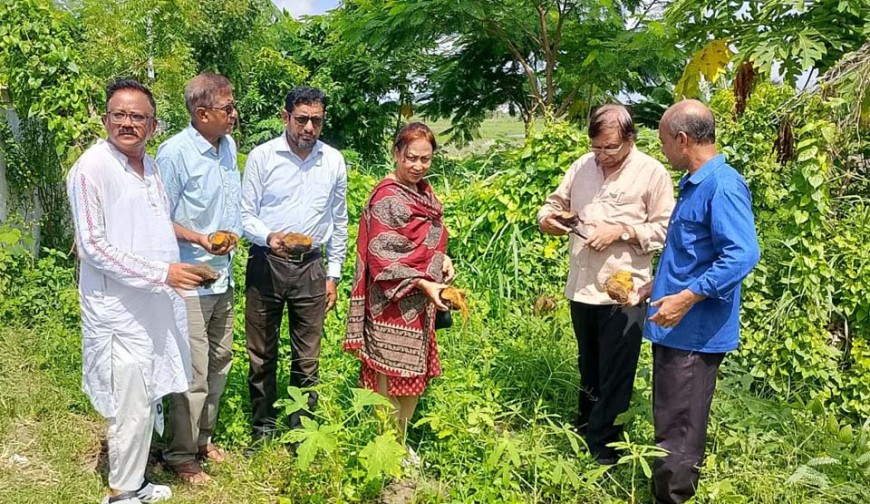 রাস্তার দুইপাশে পরিবেশ সুরক্ষা  মঞ্চের তালবীজ রোপণ