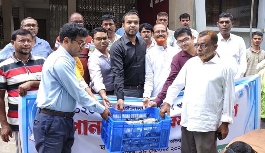 অভয়নগরে পোনা মাছ  অবমুক্তকরণ