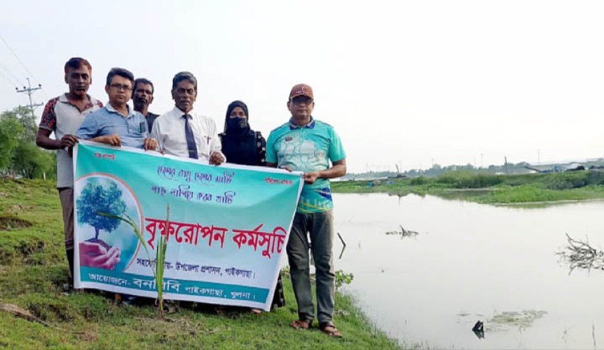 পাইকগাছায় কপোতাক্ষ নদের  বেড়ীবাধে তাল গাছের চারা  ও বীজ রোপণ